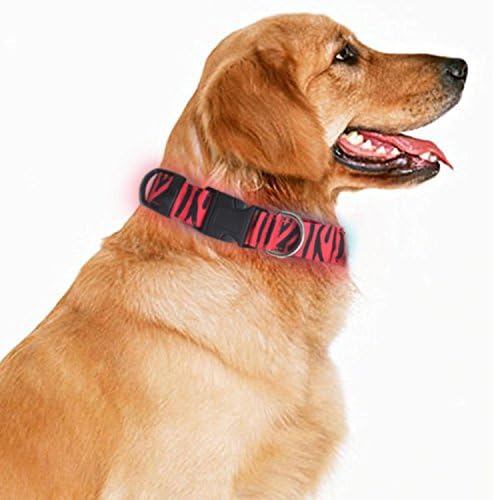 LED Dog Collar, USB Rechargeable Waterproof Neck Cat Reflective Flashing Collar Adjustable Size Light up Night to Keep Your Pet Visible &amp; Safe