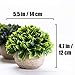 Sophia's Garden Artificial Plants Fake Plants for Plant Decor, Cute, Realistic Desk Plant - Small Artificial Plants Fake Plant Artificial Plant for Home Decor Faux Plant Feaux
