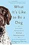 What It's Like to Be a Dog: And Other Adventures in Animal Neuroscience
