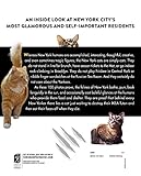 Image de Felines of New York: A Glimpse Into the Lives of New York's Feline Inhabitants