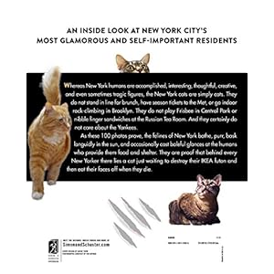Felines of New York: A Glimpse Into the Lives of New York's Feline Inhabitants