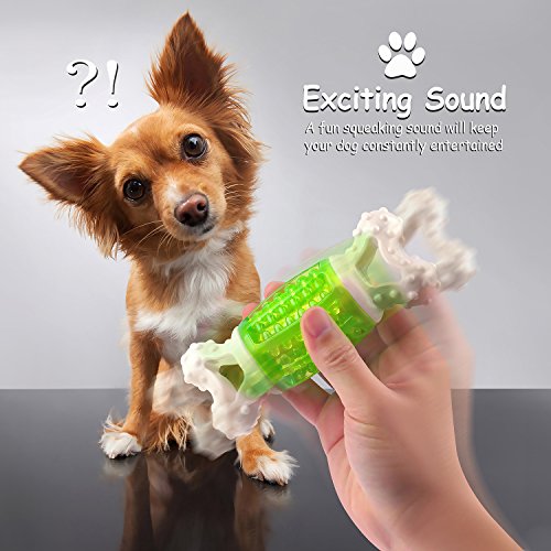 Fluffy Paws 5.6" Durable Squeaky Bone-Shaped Rubber Dental Chewing Biting Pet Toy, Green/White