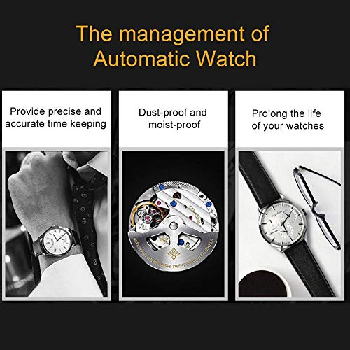 TMISHION Watch Winder Box, 4 Automatic Watches + 6 Grids Watch Storage Case Quiet Motor Multiple Rotation(Brown+US Plug)