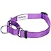 Blueberry Pet Martingale Safety Dog Collar, Dark Orchid, Medium 14.5