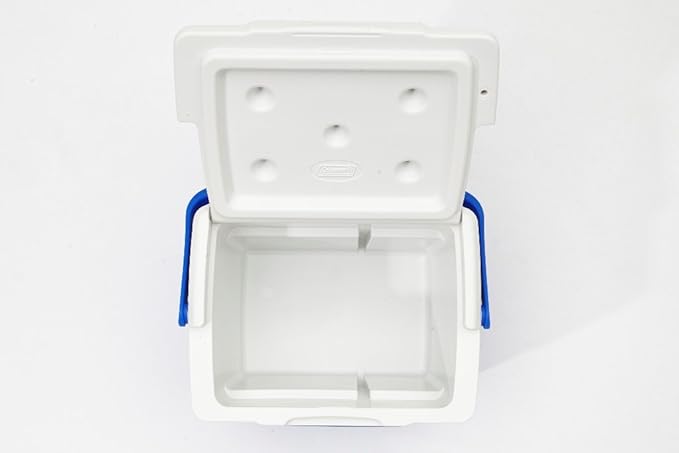 coleman cooler model 6209