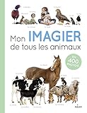 Mon imagier de tous les animaux : En 400 photos by 