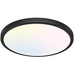 libtit 12 inch Flush Mount LED Ceiling Light