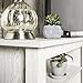 Home Accent Furnishings Lucas 58 Inch Television Stand in White Wash