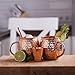 Moscow Mule Copper Mugs - Gift Set of 2 Pure Copper Cups With BONUS Shot Glass and Straws