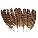 Eagle feather,Hgshow 10pcs Touch of Nature eagle feathers 6-8 inches
