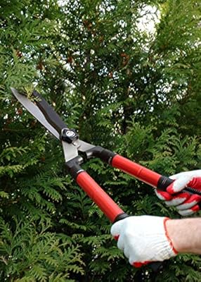 best telescopic hedge shears