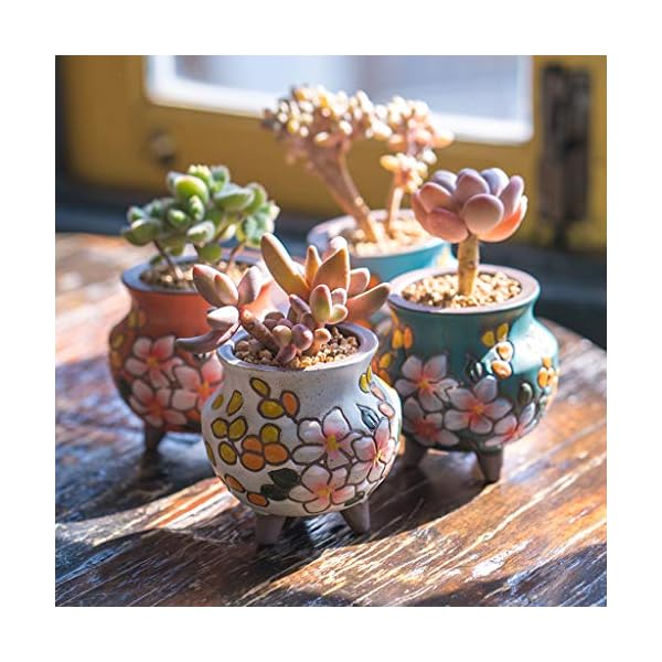 Summer Impressions Hand Painted Tall Round Succulent Planter Cactus