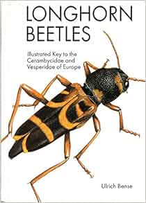 cerambycidae longhorn illustrated abebooks