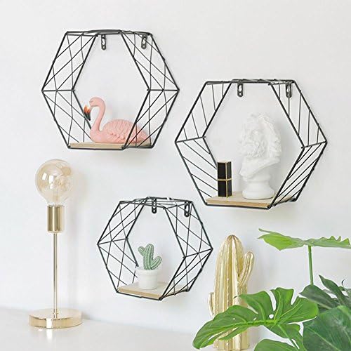 Wangwtry 1PC Pack Wall Hanging Basket Floating Shelves Iron Wire Hexagon Grid Wall-Mounted Rack for Plants Display Magazine Book Storage Home Office Decoration