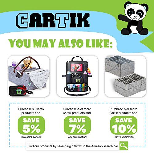 Cartik 2 Pack Backseat Car Organizer for Kids, Babies and Toddlers, with Tablet Holder by iPad Touch Screen, Fit to Baby Stroller, Large Storage, Kick Mat, Back Seat Protector, Organizer eBook