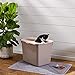 Amazon Basics No-Mess Hooded Cat Litter Box, 20 x 15 x 15 Inches, Top Entry