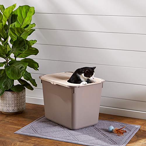 Amazon Basics No-Mess Hooded Cat Litter Box, 20 x 15 x 15 Inches, Top Entry