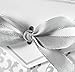 Classy Looking 50pcs Favor Candy Boxes Gift Boxes with Ribbons (Silver)
