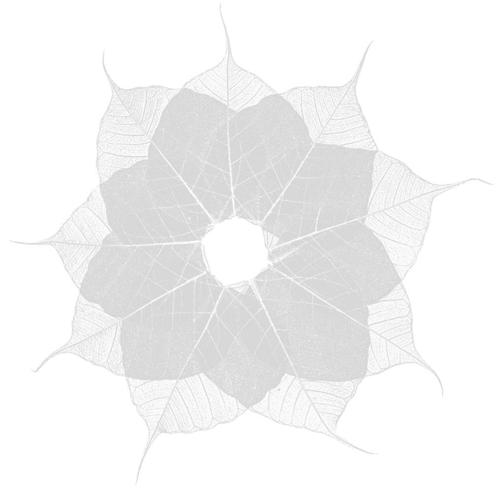 EXCEART 20pcs Natural Skeleton Leaves Scrapbooking Craft Skeleton Natural Leaves Dried Leaves Specimen Artificial Leaves Craft Card Scrapbook DIY Leaves Material for Bookmark Art Craft Cards