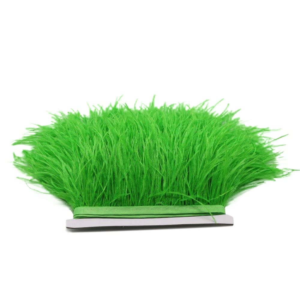 FQTANJU 2 Yards Soft & Natural Ostrich Feathers Fringe Trims Ribbon Used for Dress, Sewing, Craft Clothing, Lighting Decoration, Clothing DIY, etc. (Green)