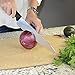 Victorinox Swiss Classic 10-Inch Chef's Knife
