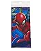 American Greetings Spider Man Plastic Table Cover, 54