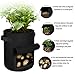 Aebitsry 3 Pack 7 Gallon Potato Grow Bags, Breathable Non-Woven Cloth, Tomato Flower Vegetable Growing Bags Plant Container Aeration Fabric Pots with Flap Velcro Window & Handles (Black Green Red)thumb 4