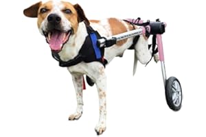 Walkin' Wheels Dog Wheelchair - for Medium Dogs 26-49 lbs - Veterinarian Approved - Dog Wheelchair for Back Legs