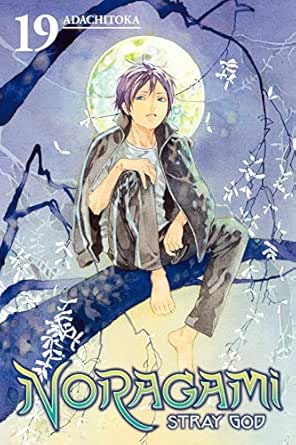 Amazon Com Noragami Stray God Vol 19 Ebook Adachitoka Adachitoka Kindle Store
