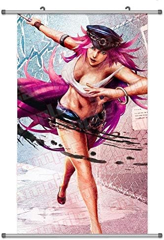 Laohujia A Wide Variety of Street Fighter Anime Characters Wall Scroll Hanging Decor (Poison 2)