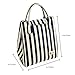 Oneyongs Tote Bento Lunch Bag Insulated Lunch Cooler for Kids Girls Women Stylish Waterproof (Blue Stripe)