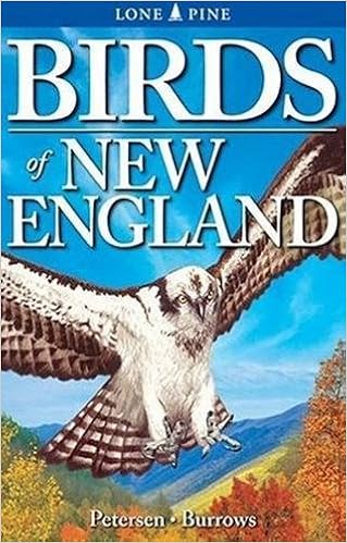 Birds Of New England Wayne Petersen Roger Burrows 9781551053844