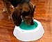 Plush Home Frosty Pet Water Bowl, Maintains Water Fresh and Cold For Up To 8 Hours, 16 Ounce Capacity, Perfect Solution For The Summer Heat