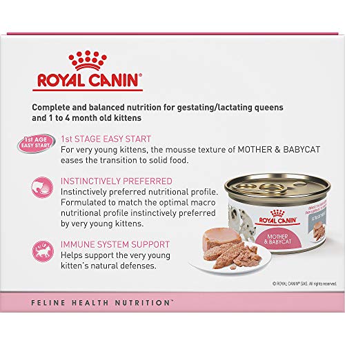 Royal Canin Mother & Babycat Ultra-Soft Mousse in Sauce Wet Cat Food for New Kittens and Nursing or  - //medicalbooks.filipinodoctors.org