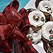 Morex Ribbon Red/Black Wired Flannel Ribbon, Buffalo Red Plaid, 2.5
