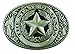 Texas State Seal Belt Buckle, Standard Size, Oval, Silver-tone Finish