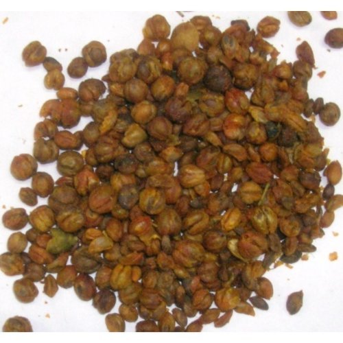 A+ 1oz Organic Intellect tree (Celastrus paniculatus) [seeds] cogntive enhancer & nootropic