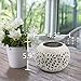 Petrala Solar Table Lights Outdoor Waterproof 7 Lumen White Metal Decorative Lighting Lantern for Desk Patio Gifts Home Decor