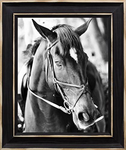 8x10 Derby I by Bryant, Susan: Distressed Classic Black 8806