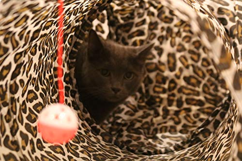 extra long cat tunnel