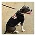 Harley-Davidson Bar & Shield Logo Pet T-Shirt - Medium, Black H2100 H BK1MED
