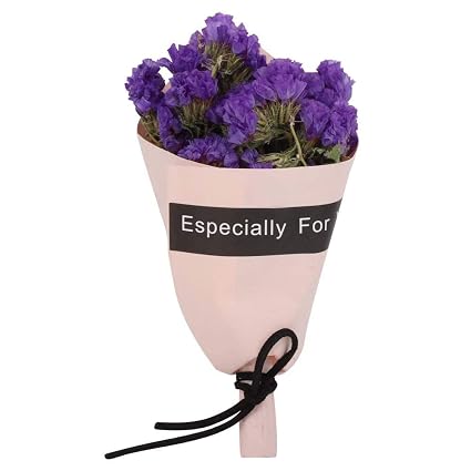 Fleurs Séchées Naturelles Mini Bouquet Fleurs Maison Fête De