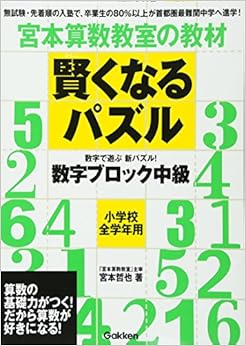 賢くなるパズル 数字ブロック 中級 (宮本算数教室の教材) (日本語) 単行本 – 2008/9/2の表紙