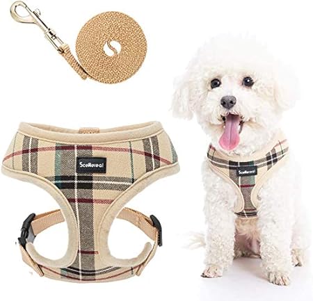 small dog harness amazon