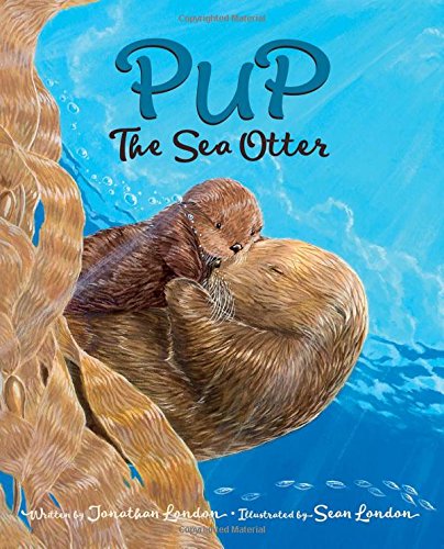 Pup the sea otter