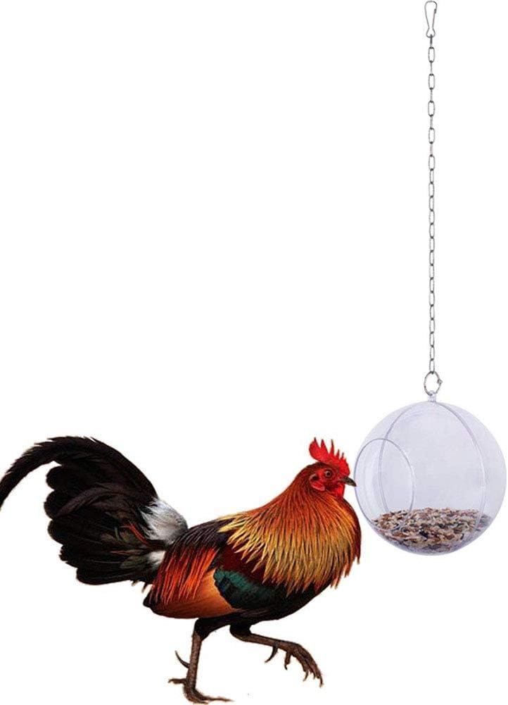 Macabolo Chicken Hanging Feeder Toy for Chicken Feeder Treat Ball with Veggie and Seed Feed for Pet Parrot Bird