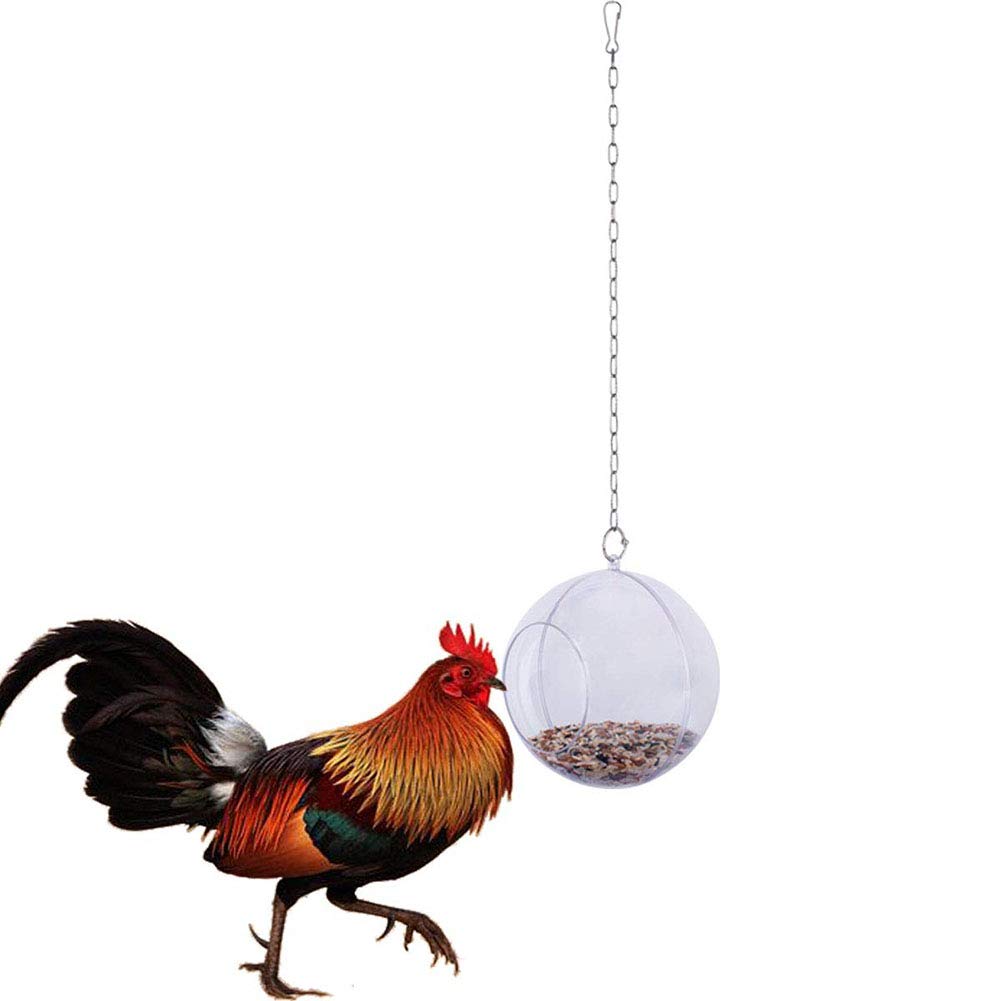 Macabolo Chicken Hanging Feeder Toy for Chicken Feeder Treat Ball with Veggie and Seed Feed for Pet Parrot Bird