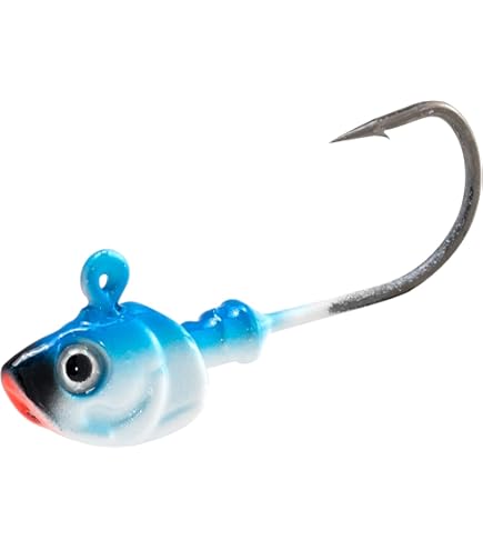 Amazon.com : Fish Arrow Wheelhead SW 6 Lure Set Jig Head