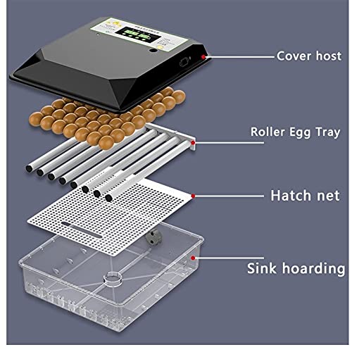 FHISD Brutmaschine für Hühnereier Brutmaschine für Hühnereier Brutmaschine für Hühnereier Automatische Brutmaschine für… – Bild 6