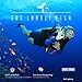 Dark Lightning Kids Wetsuit, 2mm Neoprene Thermal Swimsuit, One Piece Wet Suits for Fishing,Scuba Diving, Rash Guard Full Suit Swimsuit Kids